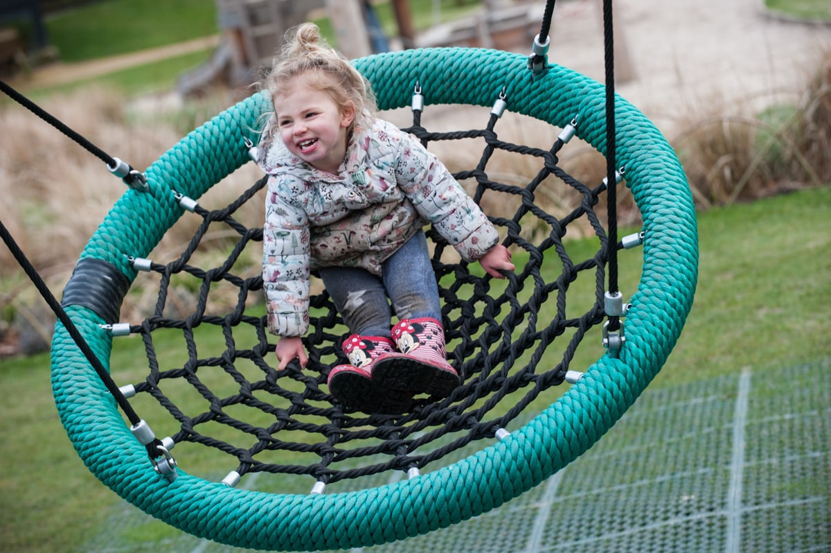 Cradle nest swing designed for multiple users