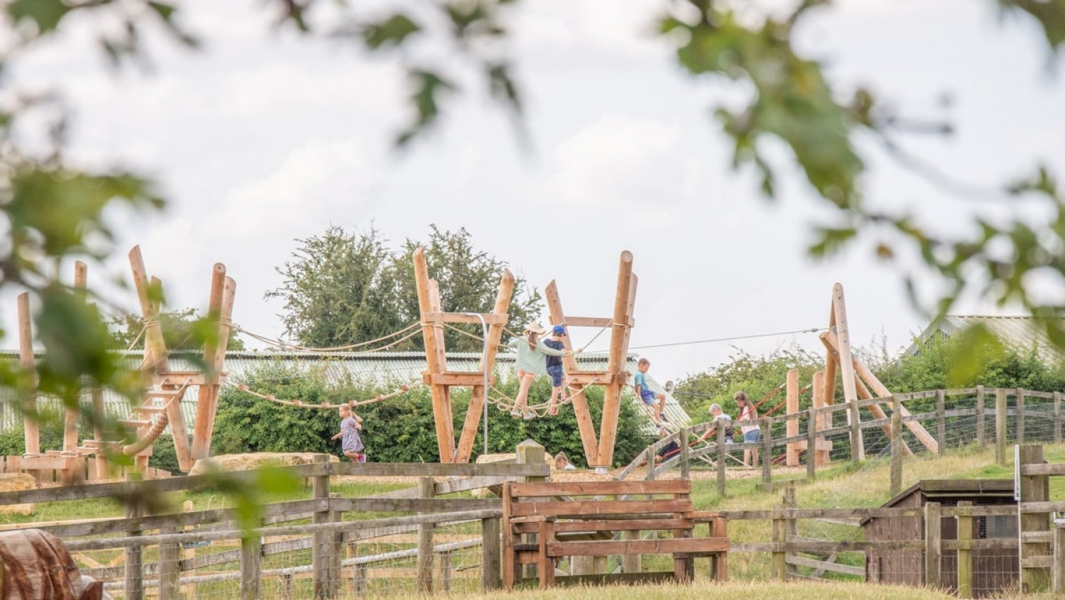 Triangular Podiums at Cotswold Farm Park