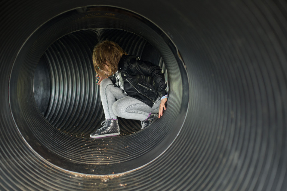 William's Den Playground Slides